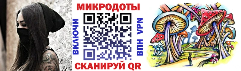Купить где  Сенгилей  Псилоцибиновые грибы Magic Shrooms 